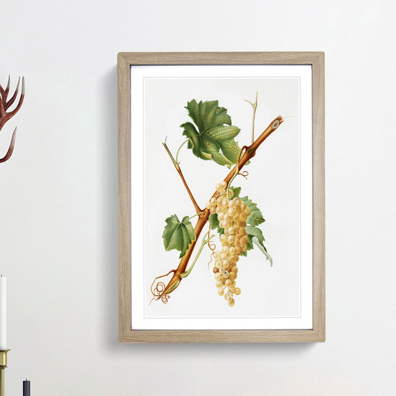 Vermentino Grapes by Giorgio Gallesio - Picture Frame Painting Print, Oak Framed, 65cm H x 48cm W x 2cm D