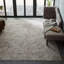 Area Rug in Gray-857226941