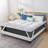 4'' Down Alternative Mattress Topper-91893472-53511048