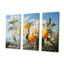 Ensembles ensoleillés de fleurs de plumeria, citronnier, ensemble d'art mural Plumeria-107750429-107750431