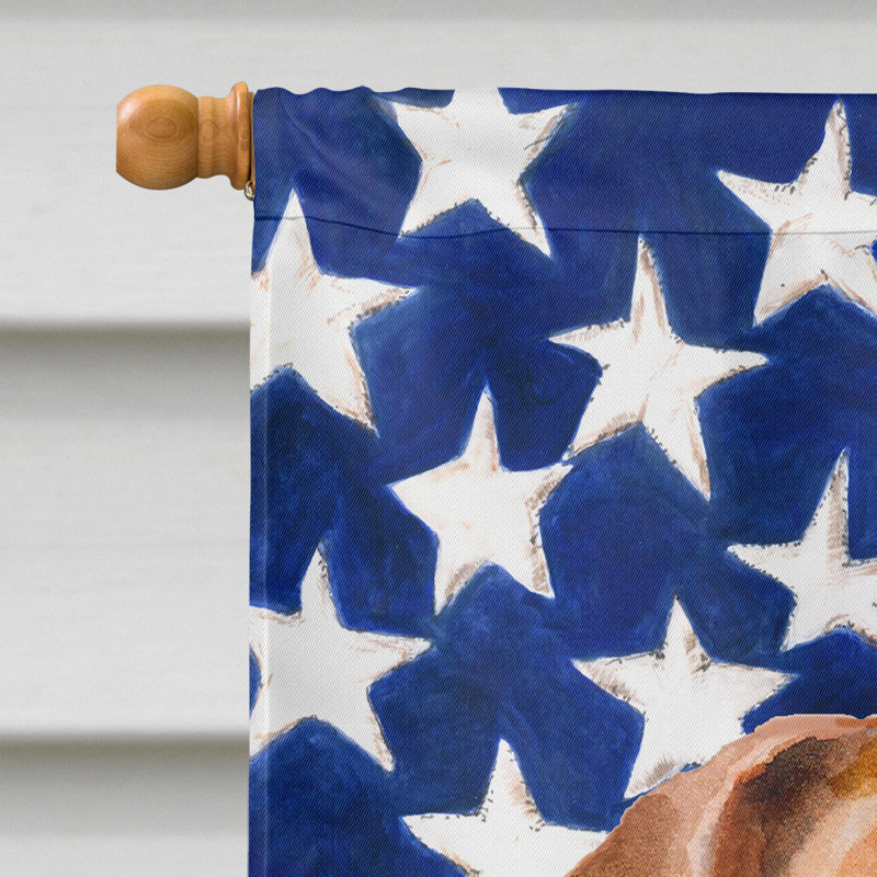 Drapeau de maison en polyester à 2 côtés Shahnur, Jack Russell terrier brun clair
