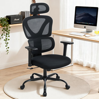 Ergonomic Office Chair with Lumbar Support Armrests