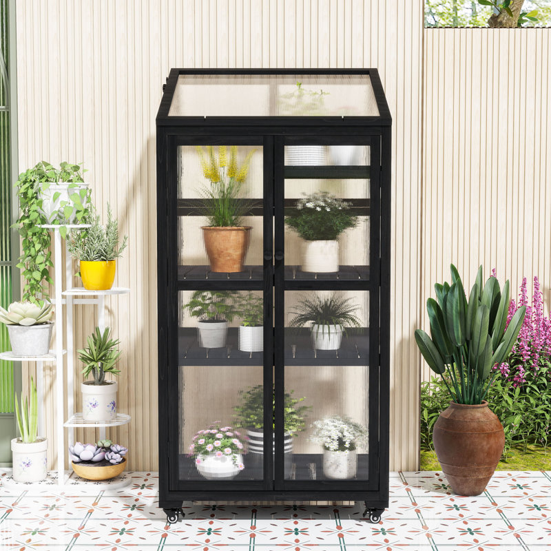 Serre portative en bois avec tablettes réglables, structure froide sur roulettes pour l'intérieur et l'extérieur, Noir