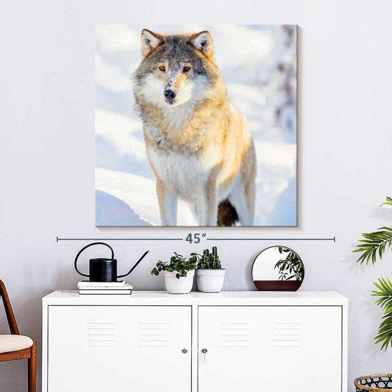 Brampt Winter Gray Wolf, 33" H x 33" W