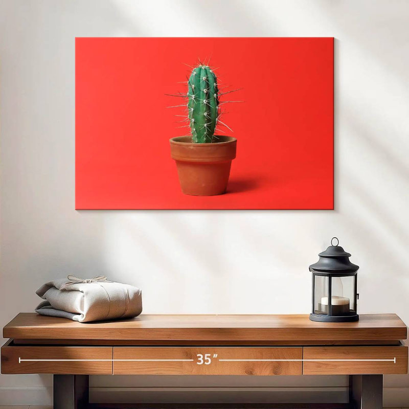Cactus en pot Harnek, H 16 po x l 24 po