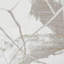 Mirage Cressie Machine Woven Cream Area Rug-757017773