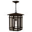 Tucker 1-Light Outdoor Hanging Lantern
