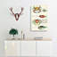 East Indies Fish & Crab Illustrations XLIX by Elizabeth Gould - Wrapped Canvas Painting-55342462
