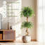 Plant-1309754138