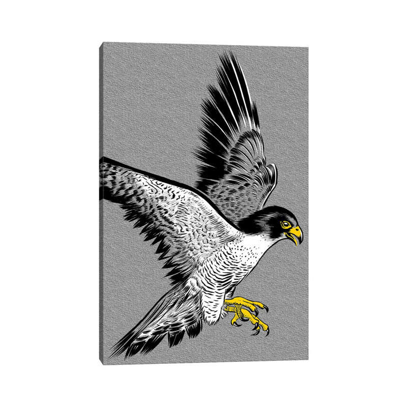 Hawk Sketch 1 Piece Wrapped Canvas Wall Art, 30.48cm H x 20.32cm W x 1.91cm D