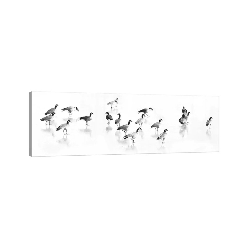 Flock Of Canada Geese by Lu Anne Tyrrell - Wrapped Canvas Panoramic Print, 30.48 cm H x 91.44 cm W x 1.91 cm D