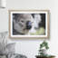Koala Bear Vol.2 - Framed Print-62758510-62758511