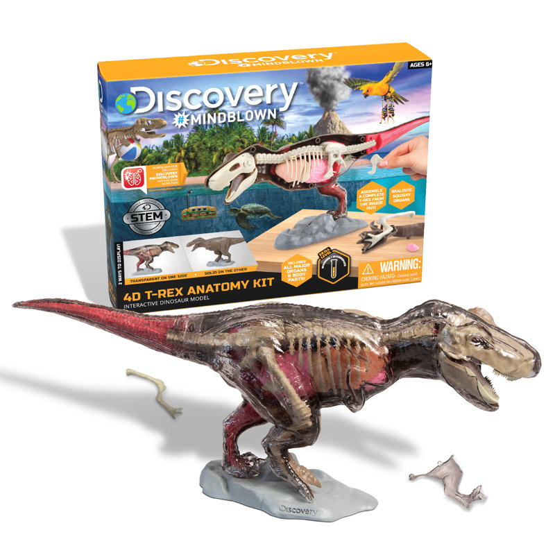 Ensemble Anatomy T-Rex