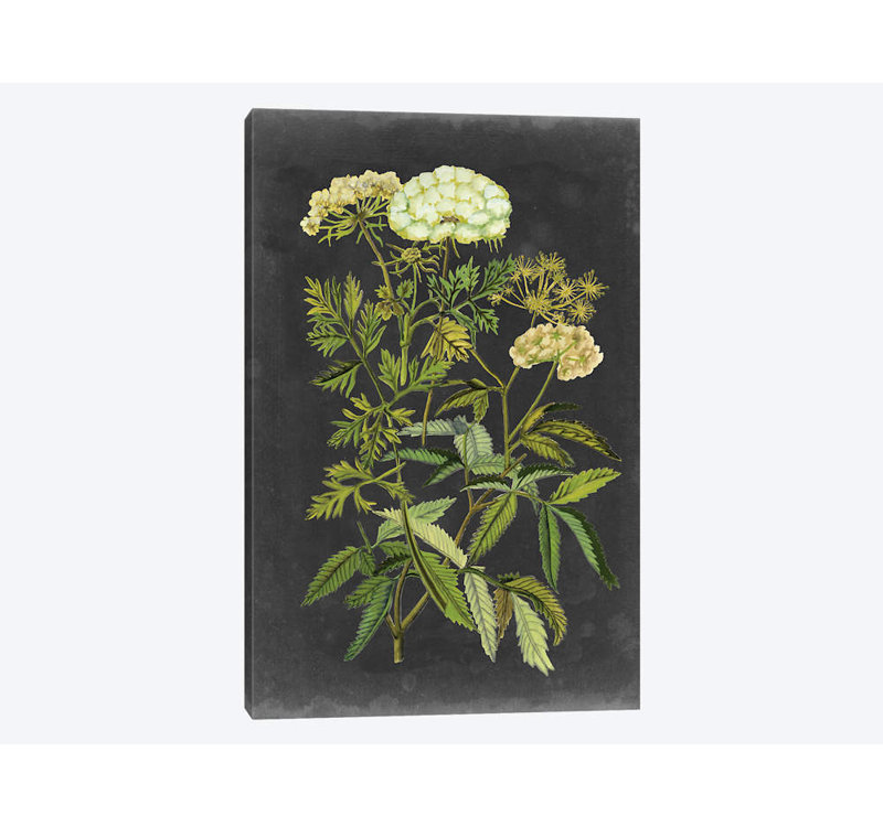 « bookplate floral i », impression sur toile, H 18 po x l 12 po x P 1,5 po, Toile tendue, Pas de tapis