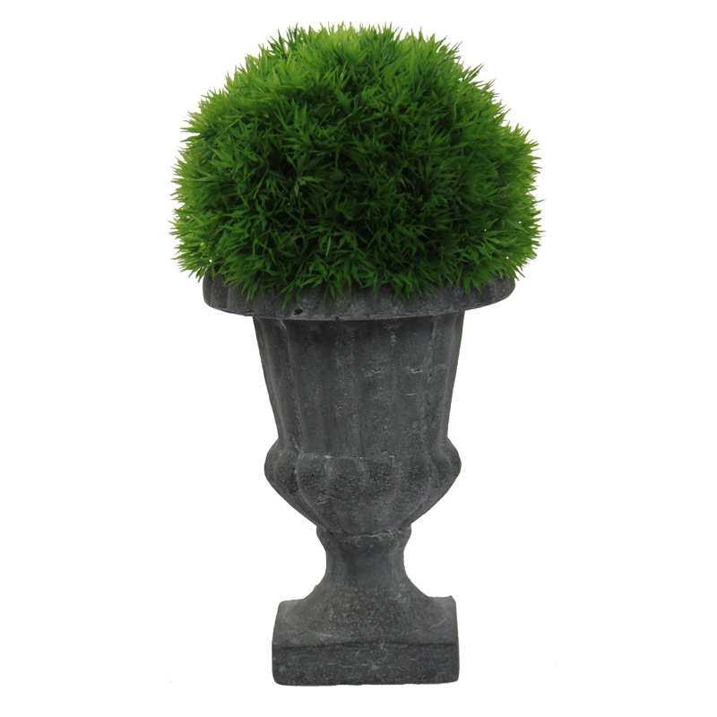 Topiaire buis de aneth de plancher en urn