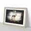 Border Collie Dog at the Beach - Picture Frame Painting Print-56855235-56855236