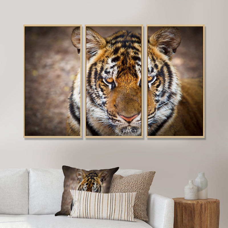 Portrait d'un tigre sauvage - ensemble d'art mural sur toile encadré traditionnel de 3, H 28 po x l 36 po, Brun