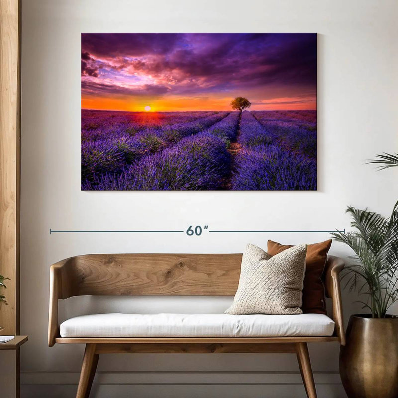 Alvord lavande au coucher du soleil