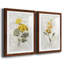 Canari lin géranium - ensemble de 2 reproductions d'art-755692024-755692021-755692029
