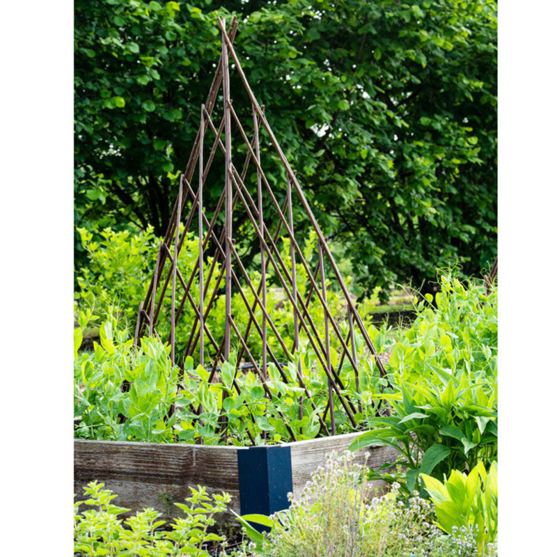 Willow Expanding Teepe Trellis, Brown, 60" H x 12" W x 1" D