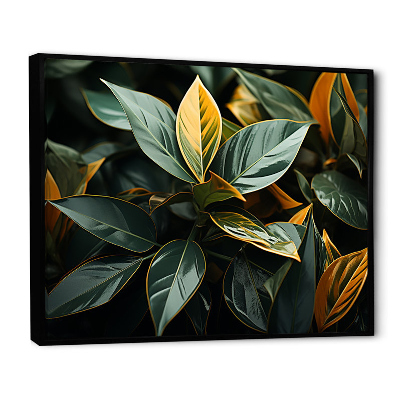 «Garden Plants Botanical Fusion» sur toile, Cadre flottant noir, H 12 po x l 20 po x P 1 po