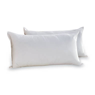 Wayfair  Pillow Insert Throw Pillows You'll Love in 2024