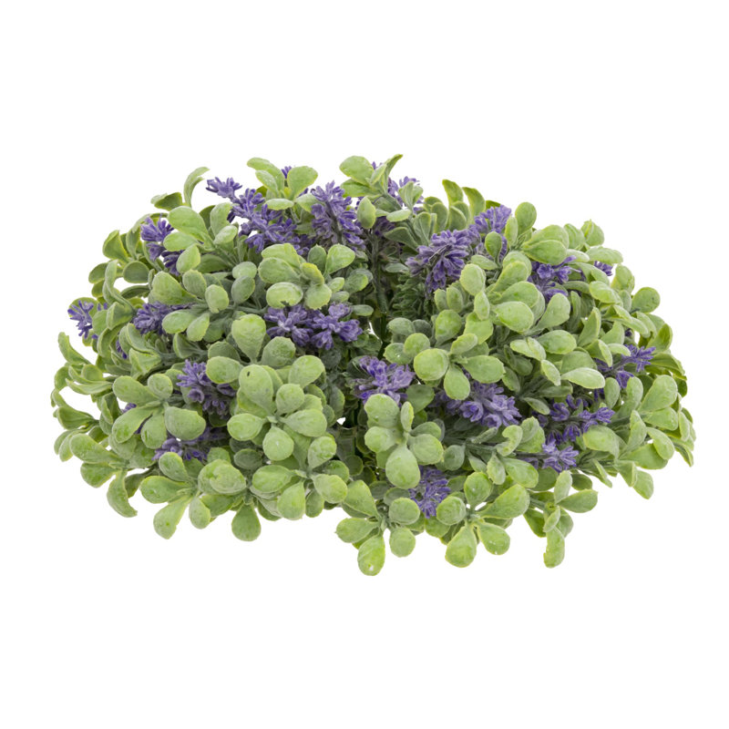 Arrangement floral de buis mauve sauge