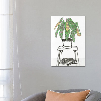 House Plant Study I by Stellar Design Studio - Wrapped Canvas Gallery-Wrapped Canvas Giclée