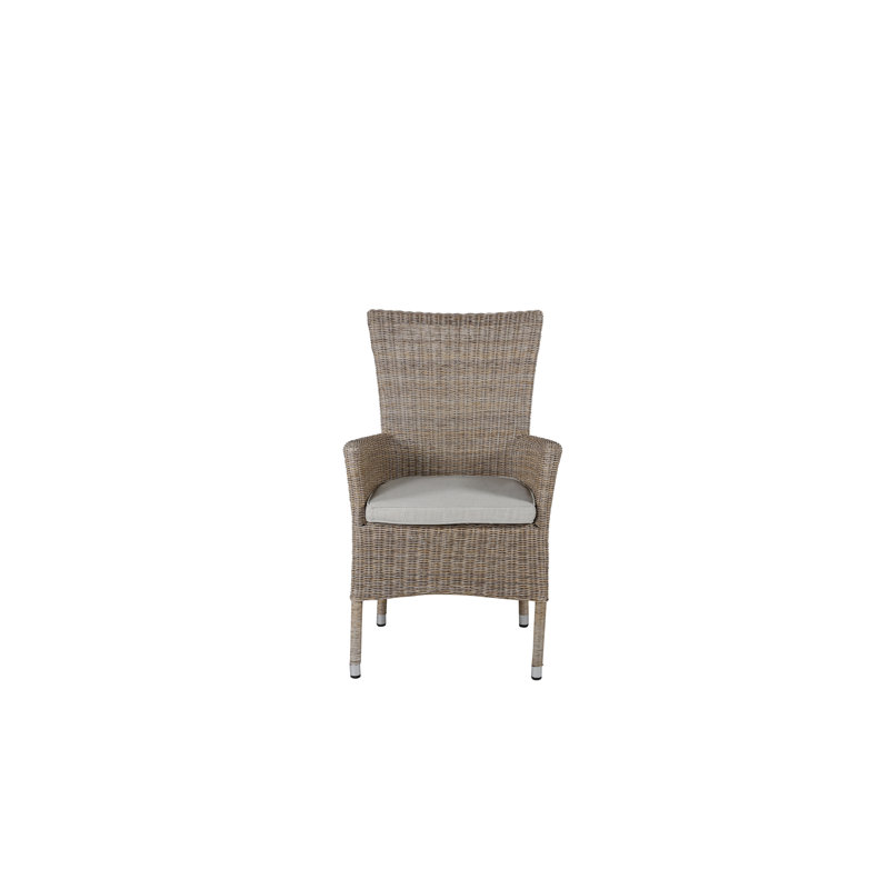 Bursaite 43cm H 100% Polyester Upholstered Armchair