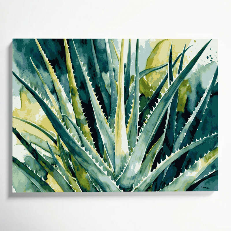 Art mural sur toile Botanical Aloe Vera, H 20 po x l 24 po