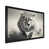 Black Picture Framed