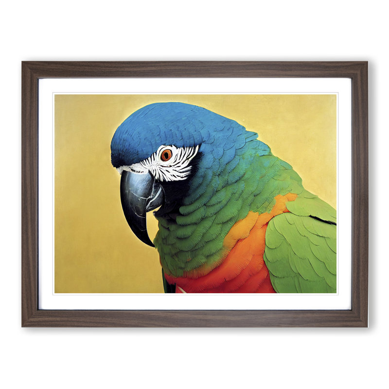 XH1022-9718X Vivid Parrot - Single Picture Frame Print, 25cm H x 34cm W, Brown