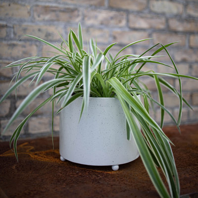 Metal Pot Planter