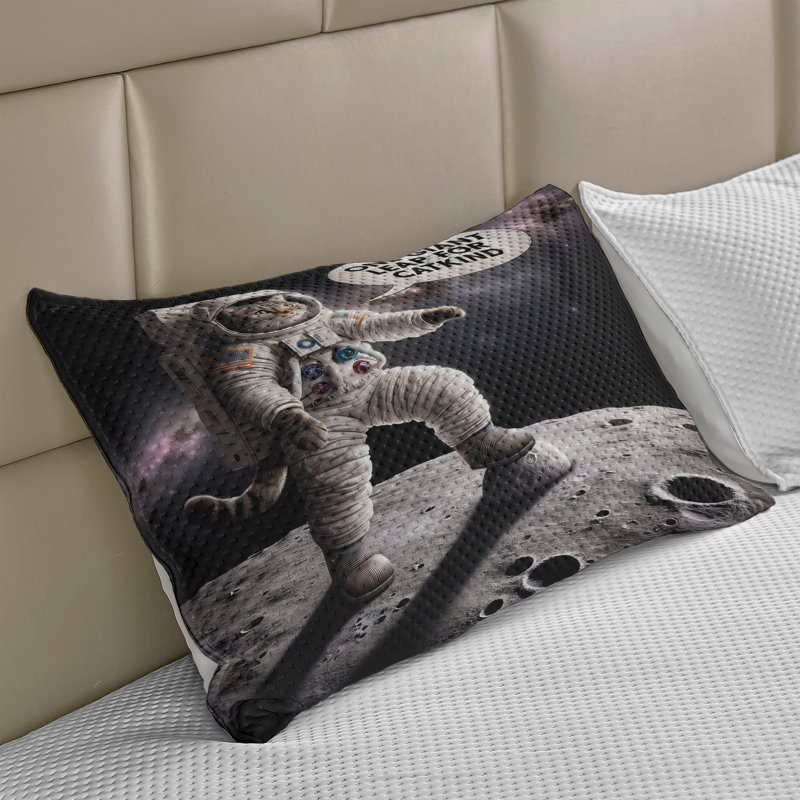 Housse de couette pour chat Ambesonne, H 20 po x l 30 po