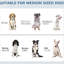 Comptoir d'alimentation caché pour chiens de taille moyenne, réglable, crochets, rangement pour aliments blancs avec couverts, panneau réglable, crochets pour chiens