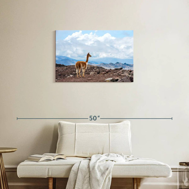Brampt Vicuna, 20" H x 30" W