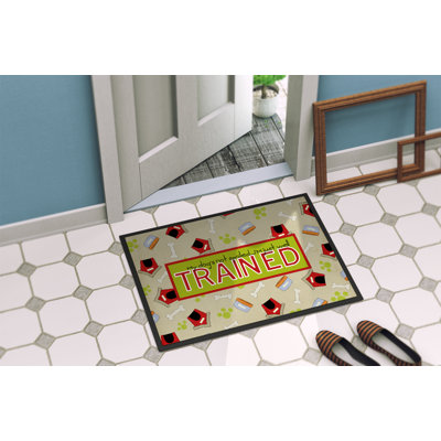 Non-Slip Indoor Doormat