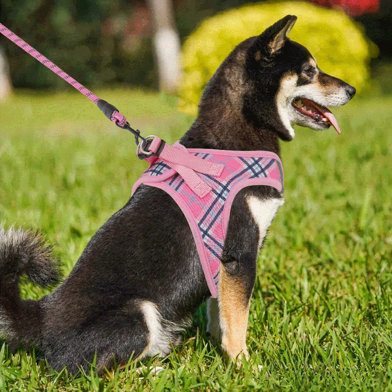 Harnais réglable pour chien avec laisse Gesemyer, Rose