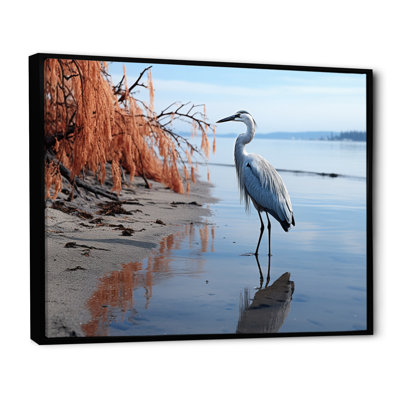 " Heron Morning Stroll "