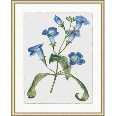 Floral Study 9 Print
