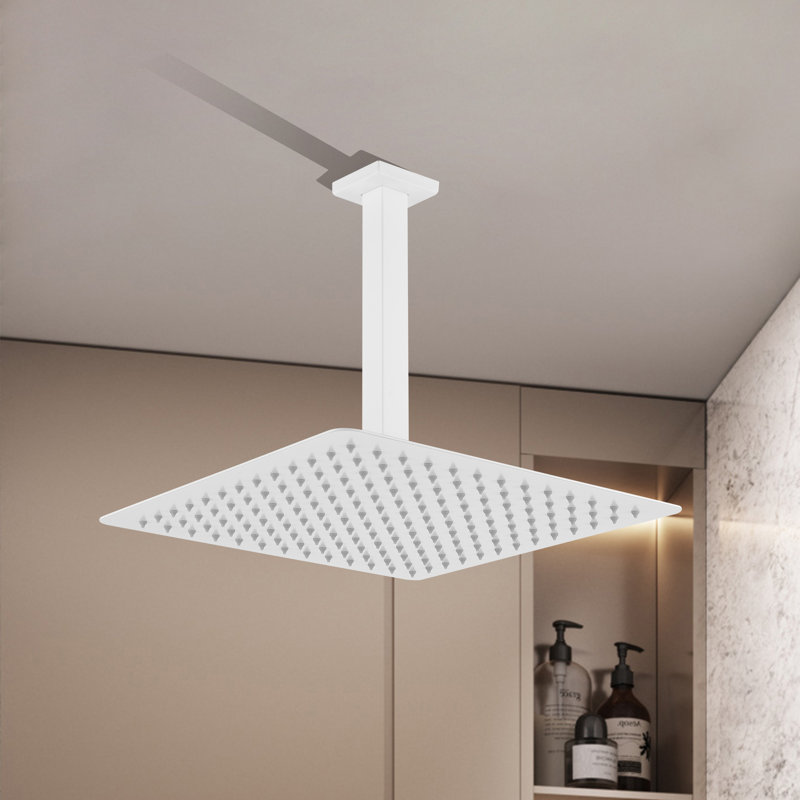 Rain Fixed Shower Head 2.0 GPM GPM, White