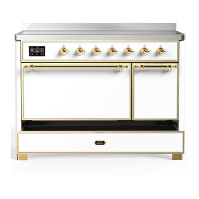 Majestic III Series 48 Inch Induction Range with 6 Induction Elements in White (Brass Trim)