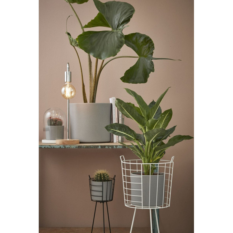 August Grove Glass Cover, Grey
