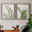 Botanical Wash I - ensemble de 2 reproductions-463140521-463140523-463140509