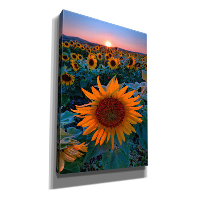 «Sunflower Sunset On Canvas» par Rick Berk, reproduction