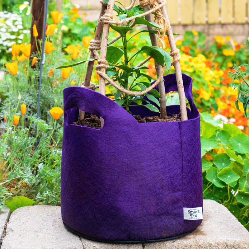 Jardinière en tissu Smart Pot®, 9,5 x 12 x 12, Mauve