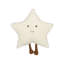 STARFRUIT Novelty Cushion