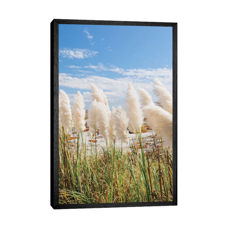 California Beach Day III by Bethany Young - Print on Canvas, 152.4cm H x 101.6cm W x 3.81cm D, Black Framed
