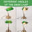 13 '' H Vintage Bankers Lamp With Pull Chain Switch， Green Glass Table Lamp
