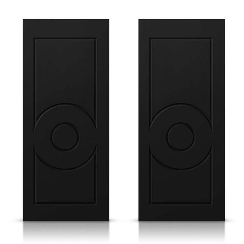 Portes de placard coulissantes à panneaux, 48 po x 80 po, Noir anthracite